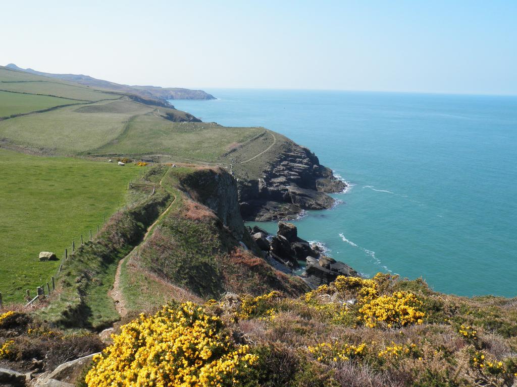 Fern Villa B&B Fishguard Exterior foto