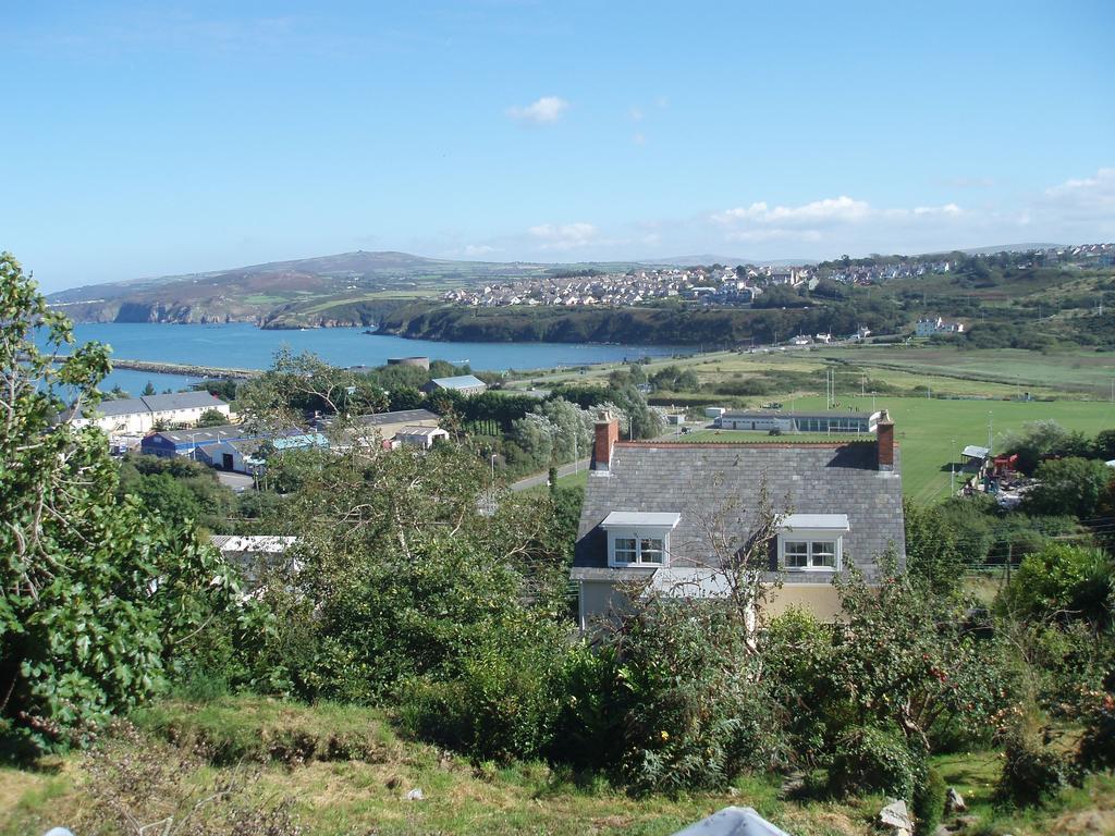 Fern Villa B&B Fishguard Zimmer foto